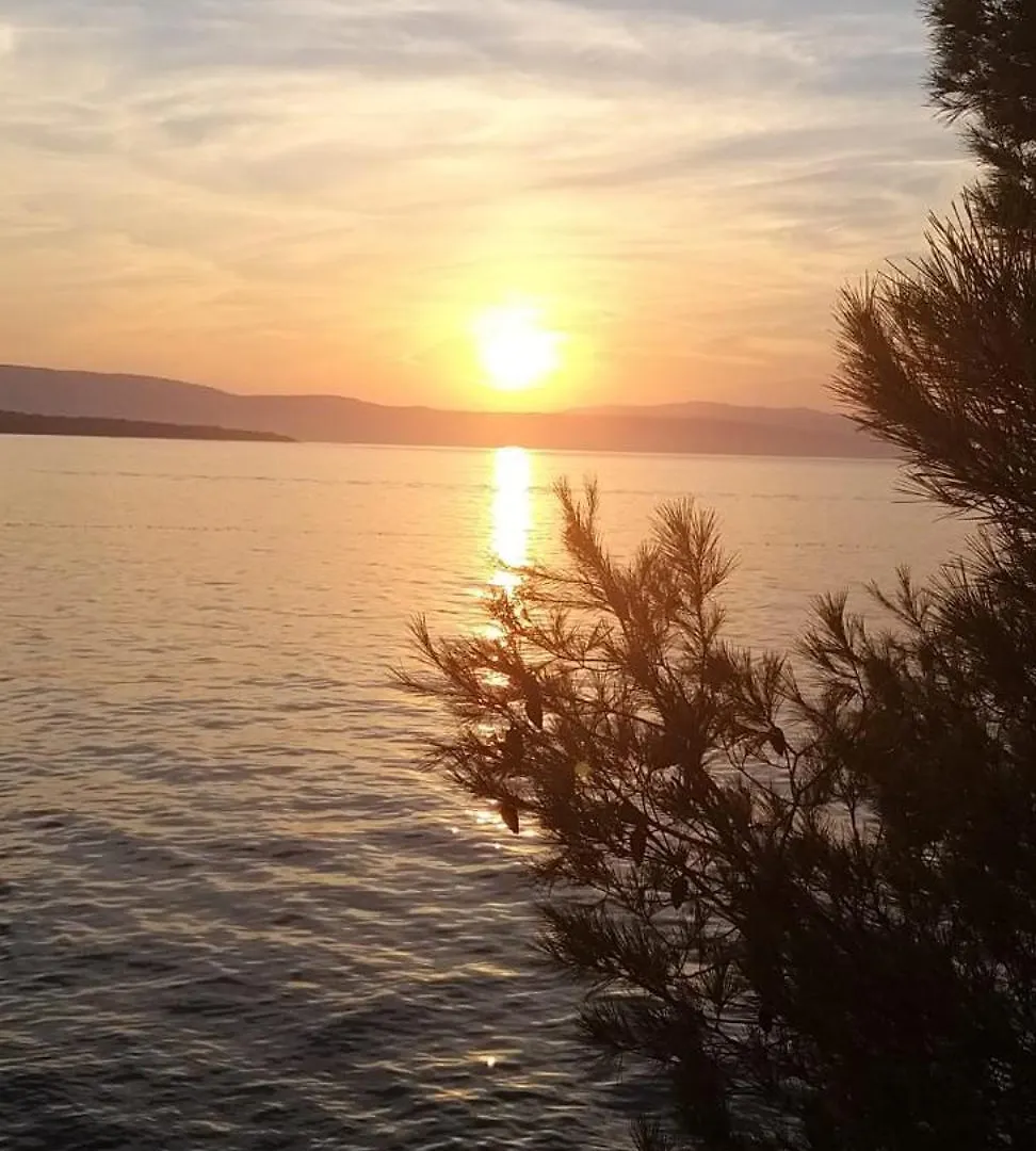 Apartment Apartmani Anita Malinska Croatia