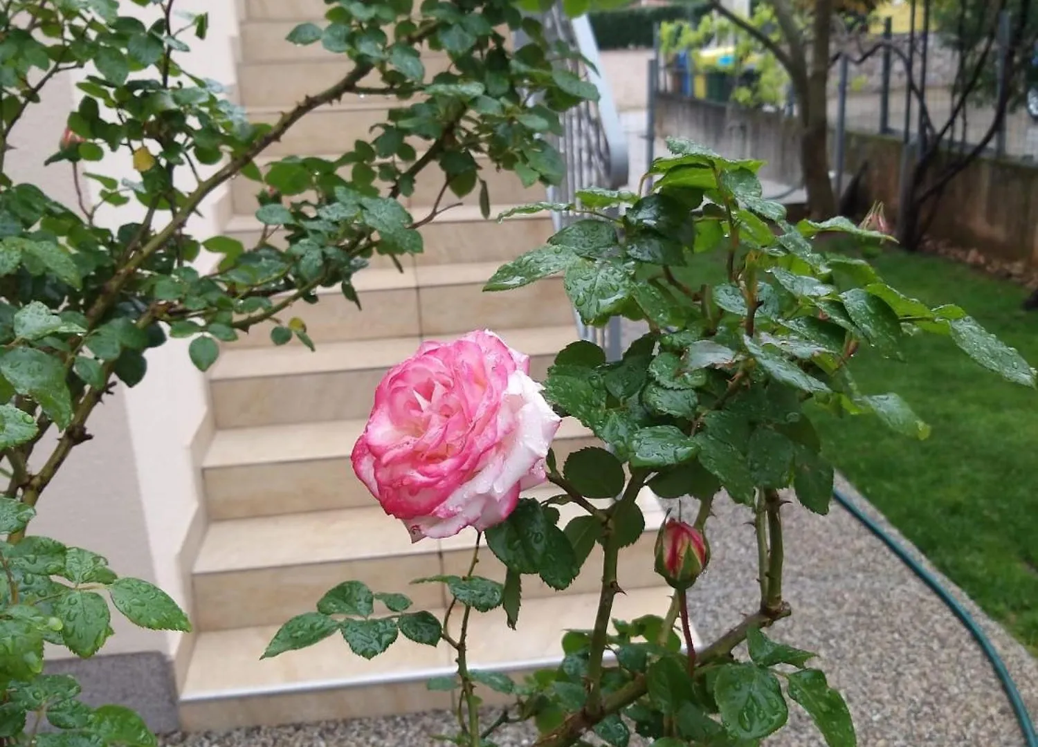 Apartmani Anita Malinska Apartman